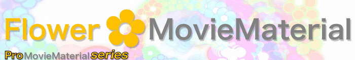 Ԃfނɂ[r[fޏW@Flower MovieMaterial