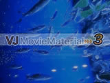 VJ MovieMaterial 3 VJffޏWI120{^I